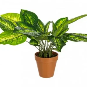Vezi acum Planta artificiala decorativa cu ghiveci, 45 cm, Dieffenbachia Bizzotto