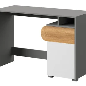 Birou SR11459 Plată securizată