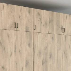 Cumpărături sigure Corp suprapozabil pentru dulap , stejar scandinav deschis
