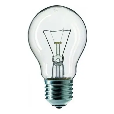 Bec industrial CLEAR E27/75W/240V Ofertă exclusivă