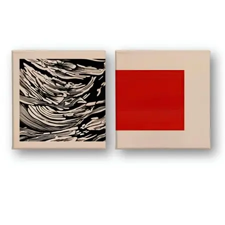 Set 2 tablouri decorative canvas, 2x50x50 cm, panza/lemn, multicolor - Verificat A · Re-Bloom Livrare expres